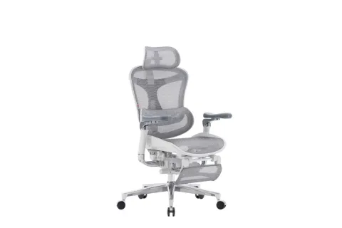 Sihoo C500 Office Chair - Gray