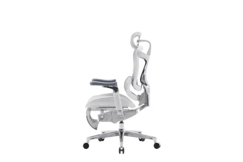 Sihoo C500 Office Chair - Gray