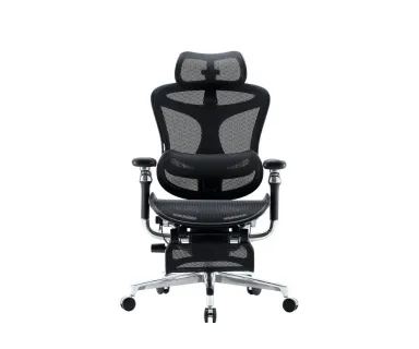 Sihoo C500 Office Chair - Gray
