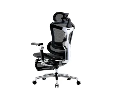 Sihoo C500 Office Chair - Gray