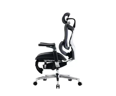 Sihoo C500 Office Chair - Gray