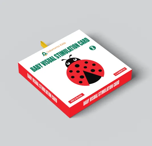 Baby Visual Stimulation Cards (3-6 months)
