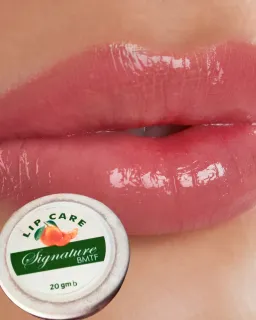 Signature Lip Care (লিপ কেয়ার)
