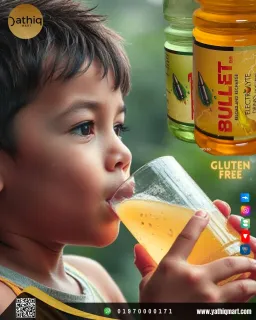 Bullet Sports Electrolyte Drink (ইলেকট্রোলাইট ড্রিংক) 250 ml 5 Carton