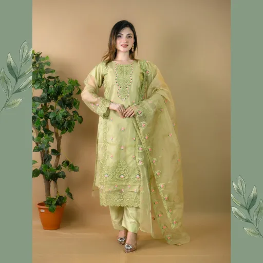 Lime Embroidered Organza Salwar Kameez C-11513 – Stitching Available